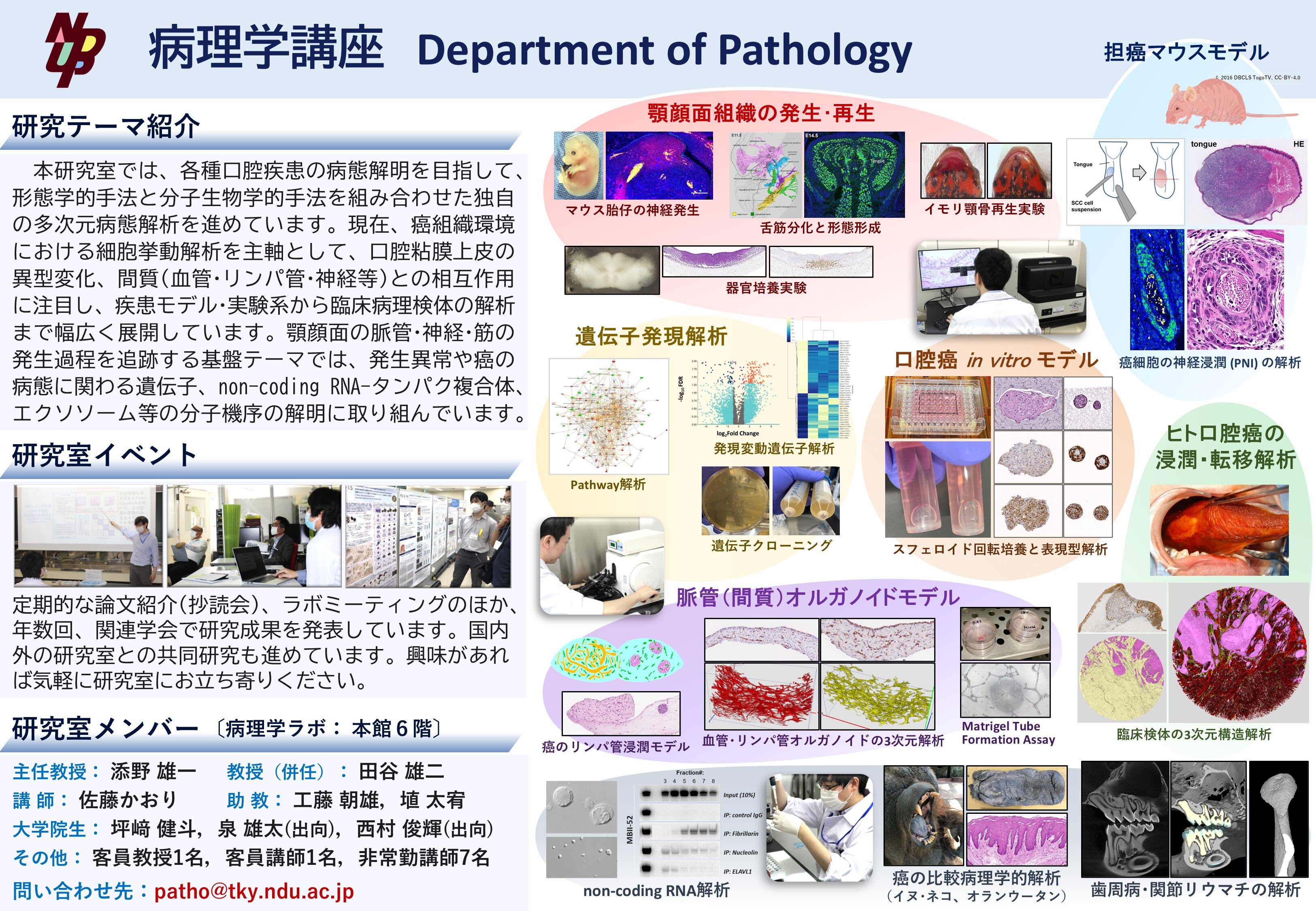 3.病理学_R7.jpg