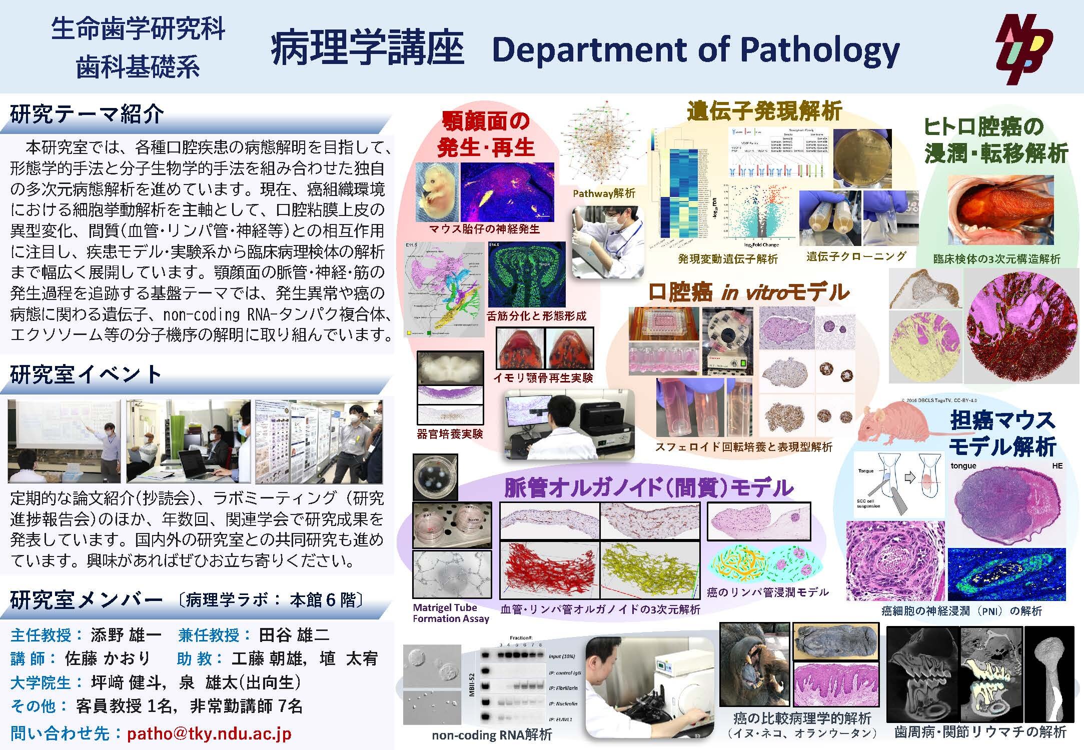 3.病理学_R6.jpg