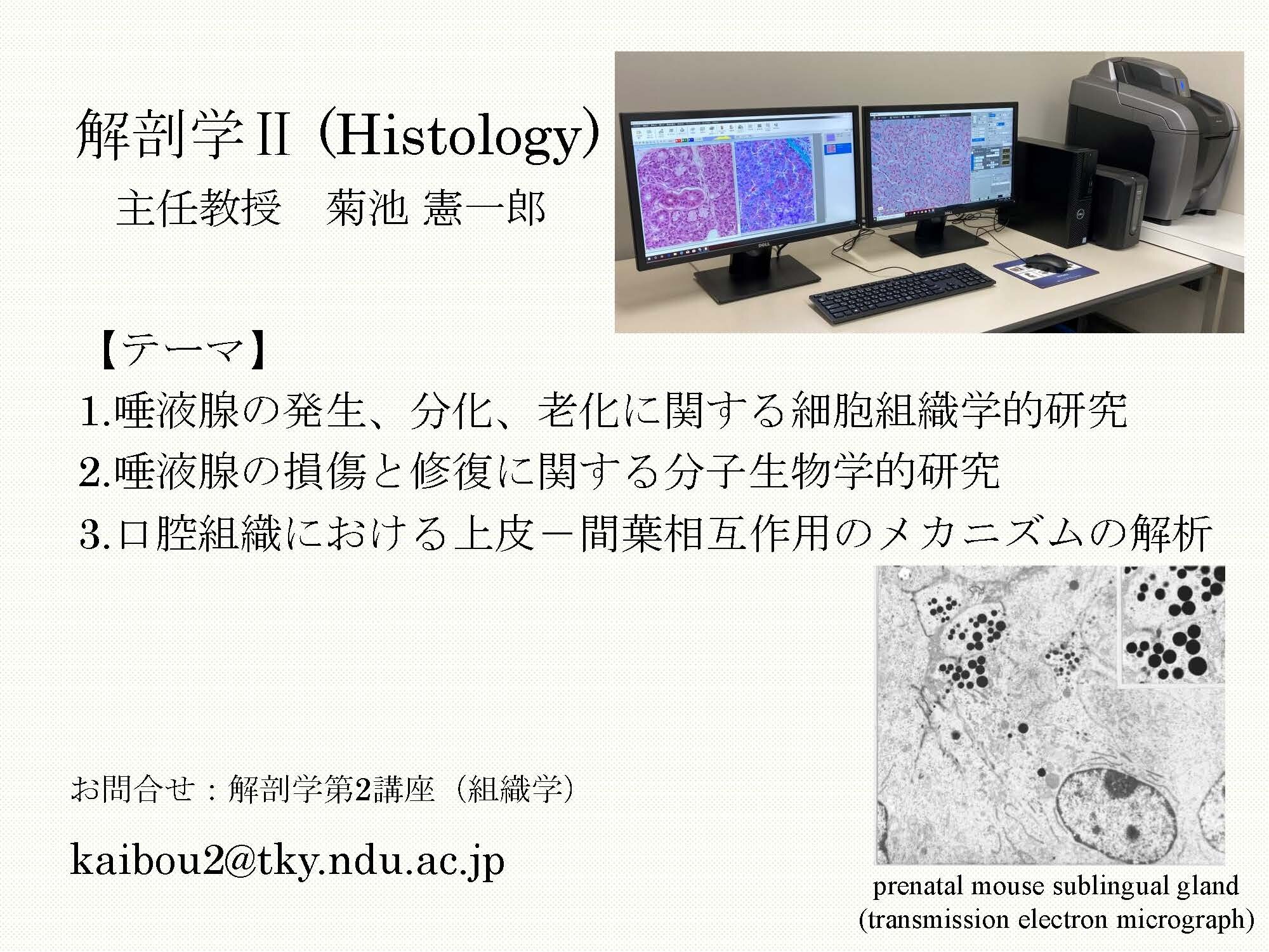 1.解剖学Ⅱ_R6.jpg