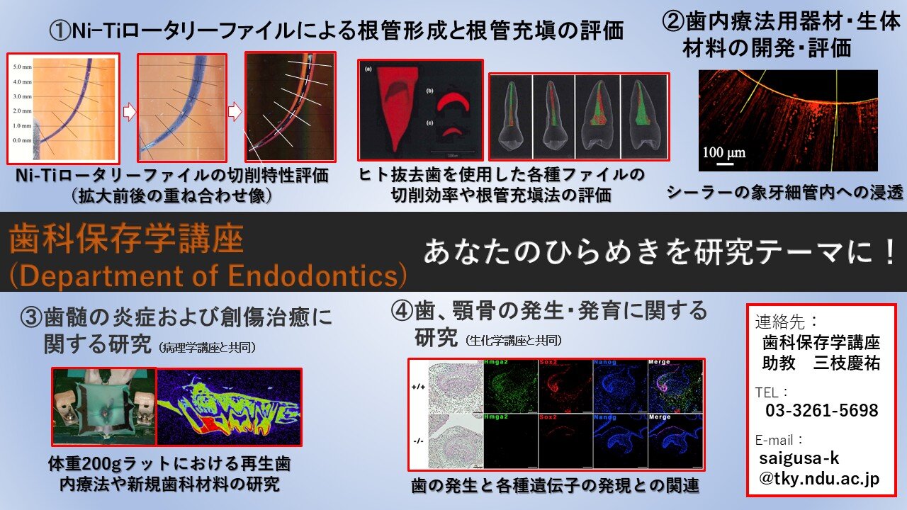 11.歯科保存学_R8.jpg