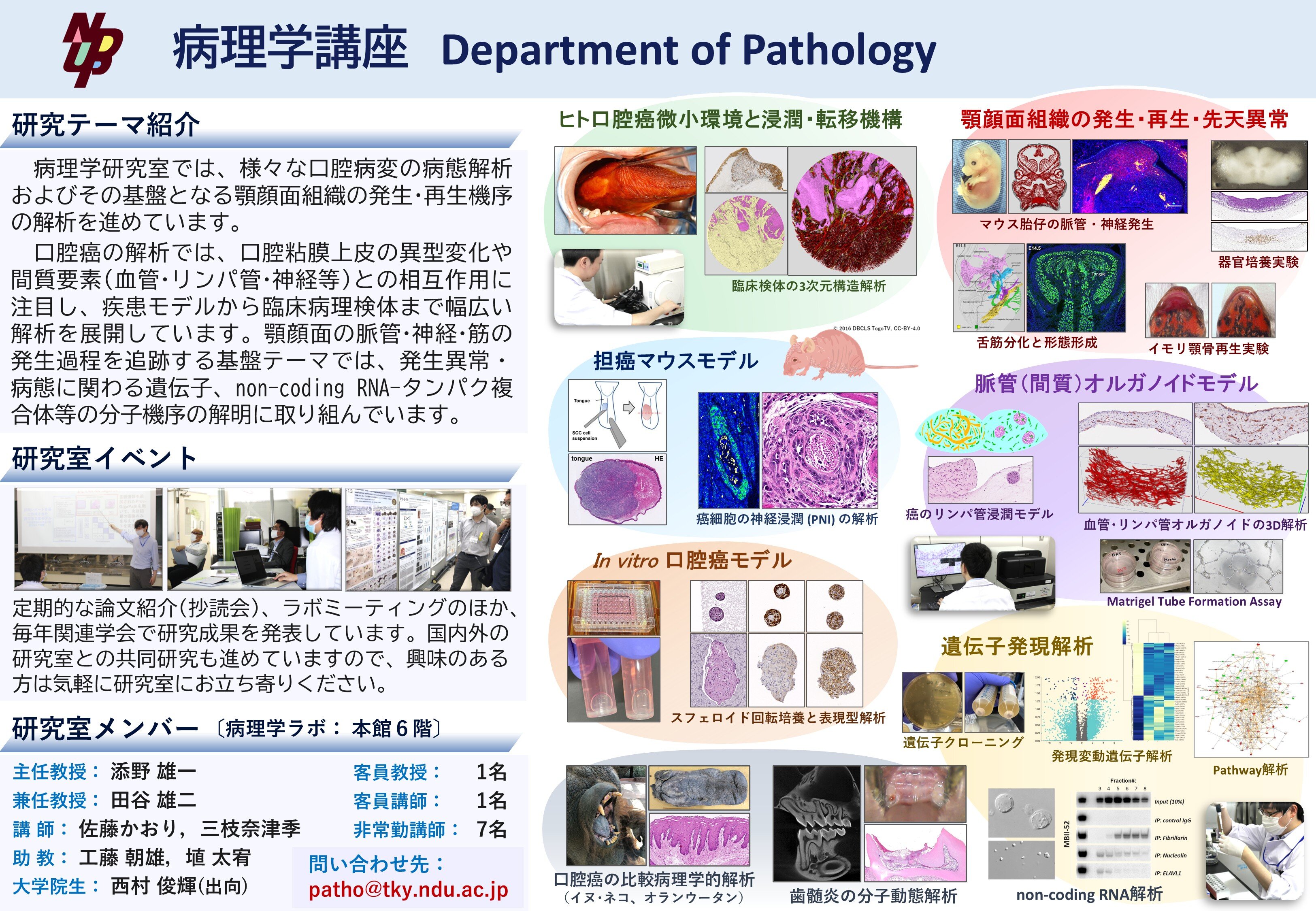 5.病理学_R8.jpg